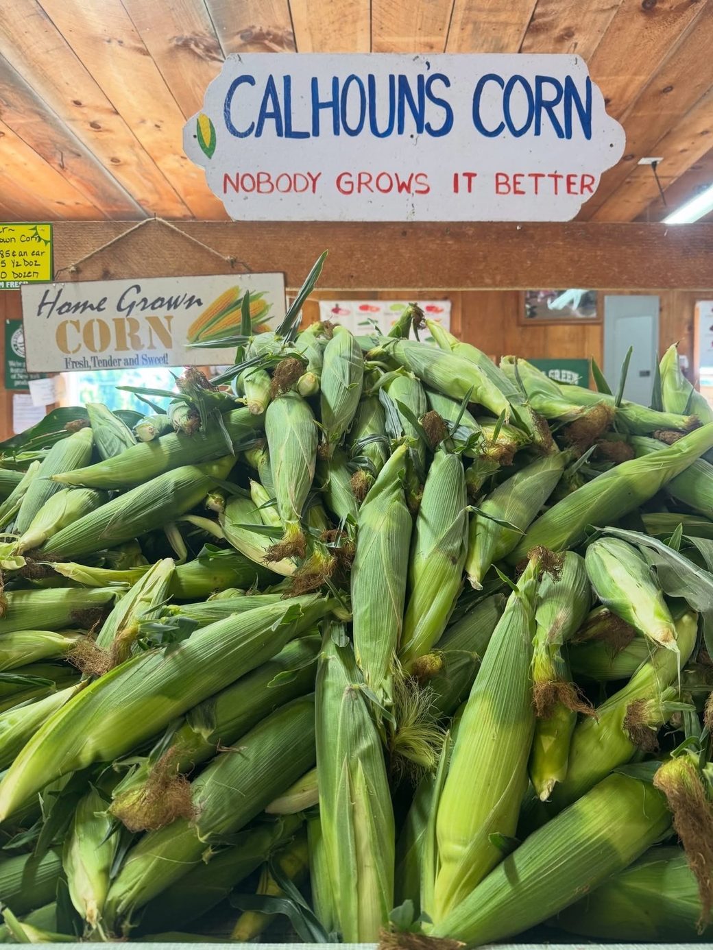 A heaping pile of fresh husked sweet corn under a hand-painted sign reading Calhoun's Corn, Nobody Grows It Better.