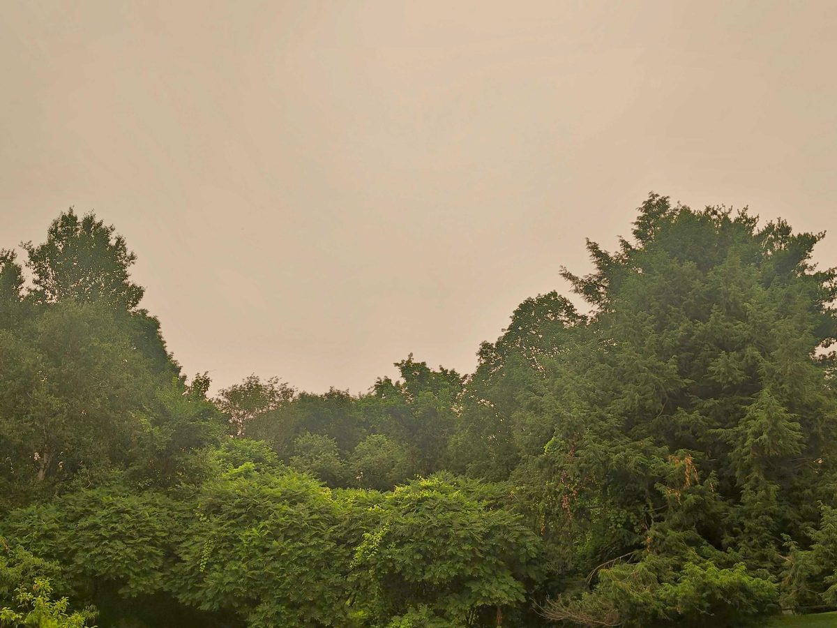 A hazy, brownish-gray sky dulled by wildfire smoke over a green treeline of maples and evergreens in Speigletown.