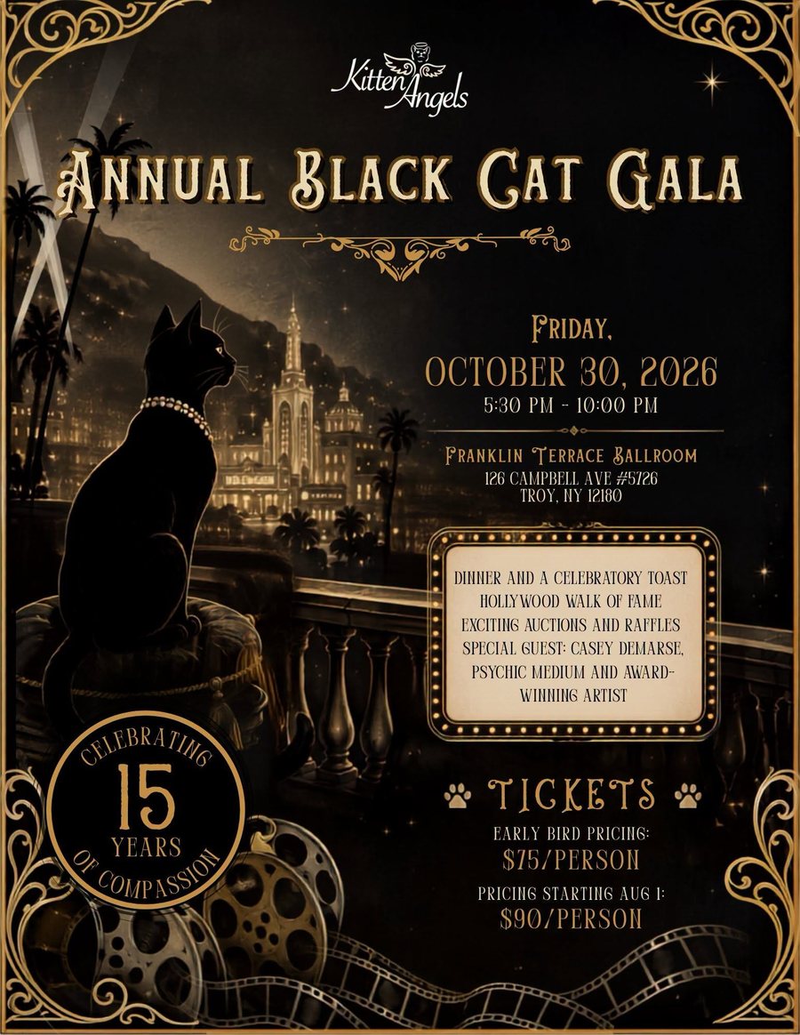 Ornate gold-and-black poster: Kitten Angels Annual Black Cat Gala, celebrating 15 years of compassion. A black cat in a pearl necklace overlooks a glittering old-Hollywood cityscape. Friday, October 30, 2026, 5:30 to 10:00 PM, Franklin Terrace Ballroom, 126 Campbell Ave, Troy NY. Dinner and a celebratory toast, Hollywood Walk of Fame, exciting auctions and raffles, special guest Casey DeMarse, psychic medium and award-winning artist. Tickets: early bird $75 per person; pricing starting August 1, $90 per person.